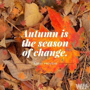 Meet your Posher, Vicki